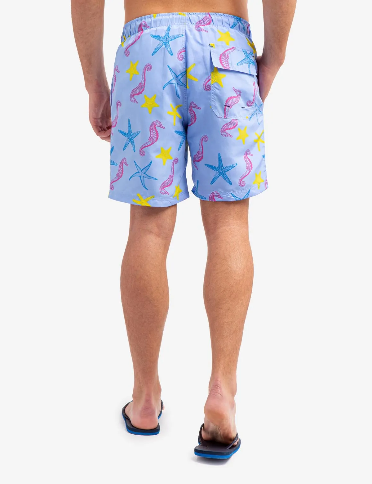 7" SEAHORSE AND STARFISH PRINT SWIM TRUNKS